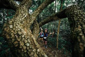 BIB: 
                            <button type="button" onclick="openModal(25393339)" class="btn btn-primary btn-sm float-right btn-popup" data-toggle="modal" data-target=".modal-high-quality">
                        <i class="fas fa-shopping-cart"></i> Add to Cart
                    </button>
                                            <button type="button" onclick="isThisMe(25393339, true)" class="btn btn-success btn-sm float-right btn-popup btn-isme hidden" data-toggle="tooltip" data-placement="bottom" title="นี่คือรูปของคุณใช่ไหม คลิกที่นี่เพื่อเอาเข้าอัลบั้ม">
                        <i class="fas fa-plus"></i> Add to album
                    </button>
                    <button type="button" onclick="isThisMe(25393339, false)" class="btn btn-warning btn-sm float-right btn-popup btn-isnotme hidden">
                        <i class="fas fa-ban"></i> Remove from album
                    </button>